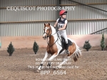 BPP_6564