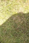SBM_05480