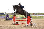 SBM_001935