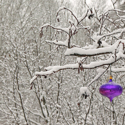 Wintertime in New Brunswick, Canada