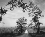 Road to Edie, Laurel Mountain, Pennsylvania 1984