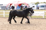 SBM_15077