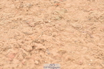 230610A-105954-02662