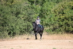 WJ6_7320