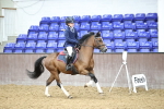 SBM_003183