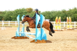 SBM_000709