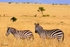 IMG_1398 Maasai Mara