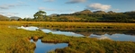 Loch Eil          ref eil 5