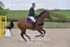 BPP_3605