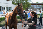 260826-Race 2-Lady Gormire-2510