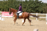 SBM_014756