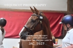 JAC_5927