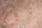 240505A-160004-07045