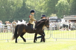 SBM_05166