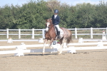 SBM_001564