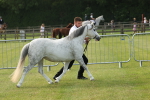 SBM_00546