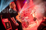 Pigsx7-41