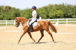 SBM_010071