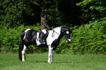 WJ7_1121