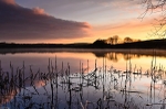 Tamar Lake