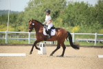 SBM_009606