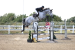 SBM_011942_Class 10 - Talent Seekers Inc 7 Year Old Horse Qualifier - 