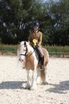 Ridden Showing portfolio