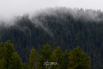 3HPhotography5-21-25_GTNP_514_