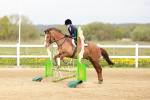 SBM_003773