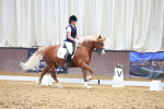 SBM_009006