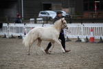 SBM_004596