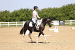 SBM_008604