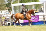 SBM_15061