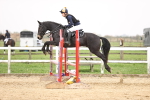 SBM_002009