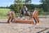 BPP_3795