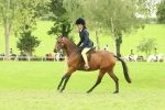 SBM_74032