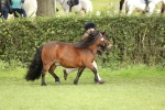 SBM_68534