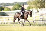 SBM_20263