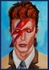 Bowie (sold)