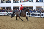 SBM_005049