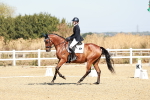 SBM_017005