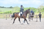BPP_0482