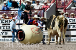 _DSC1268