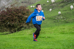 Dovedale Junior-103