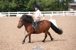 Cls 1 and 2 Clear Round 40cm and 50cm portfolio