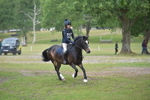 NGP_7996