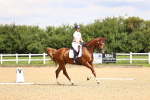 SBM_000627