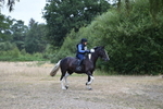 WJ5_1400