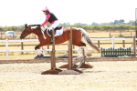 SBM_003894