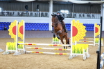 SBM_000235
